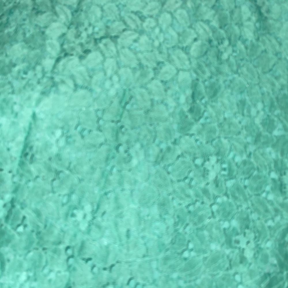 Loft Lace Skirt - Picture 2 of 4